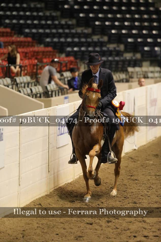 Proof 19BUCK_04174