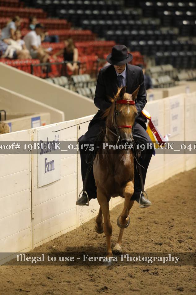 Proof 19BUCK_04175
