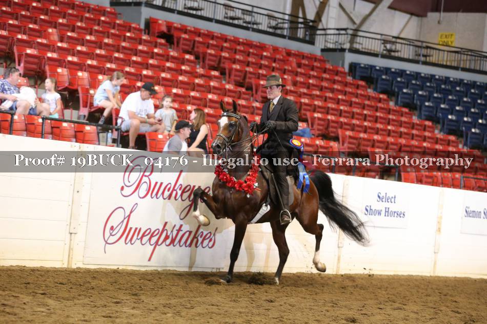 Proof 19BUCK_04176