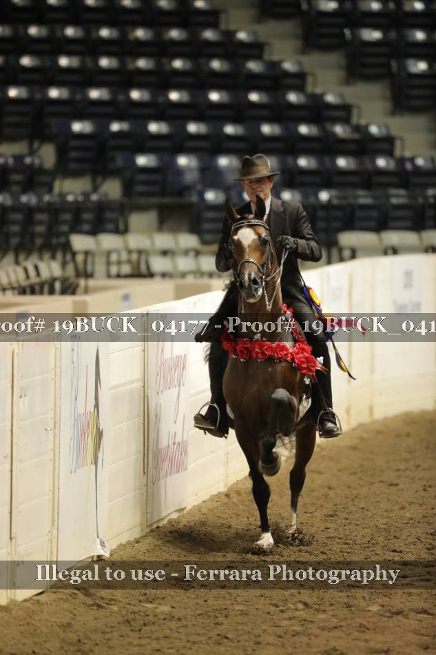 Proof 19BUCK_04177