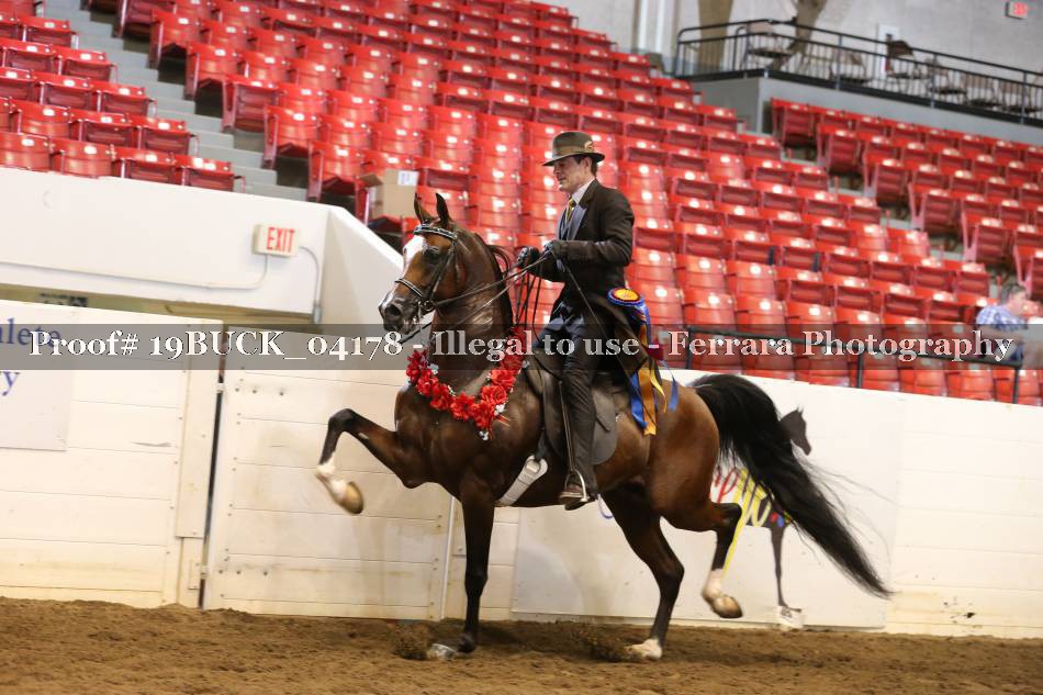 Proof 19BUCK_04178