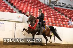19BUCK_04178 proof