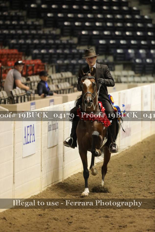Proof 19BUCK_04179