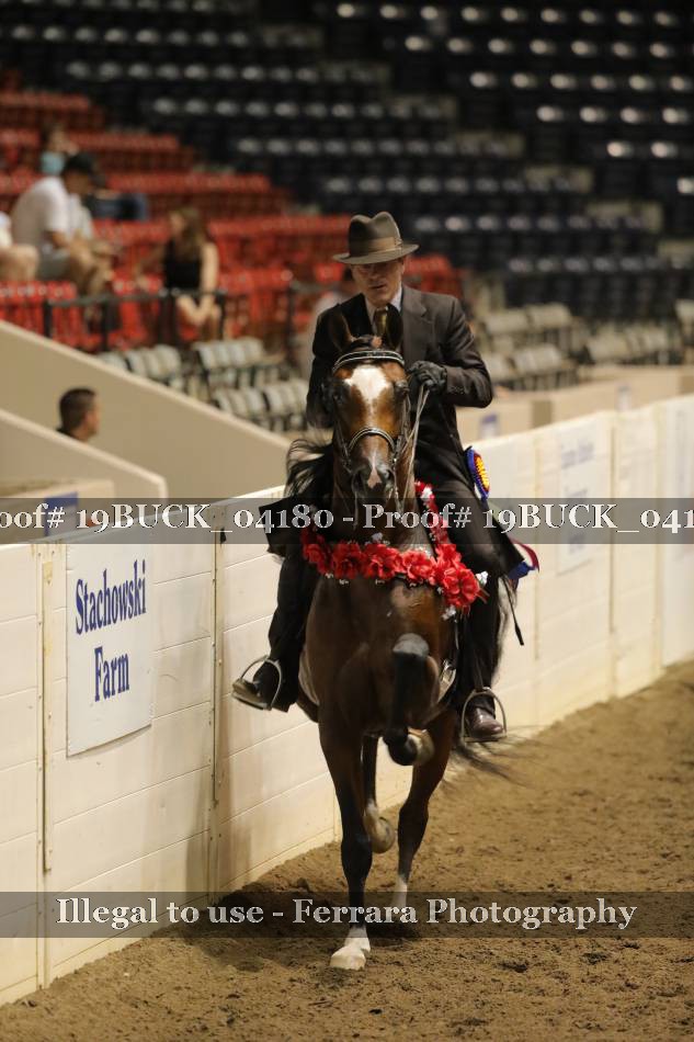 Proof 19BUCK_04180