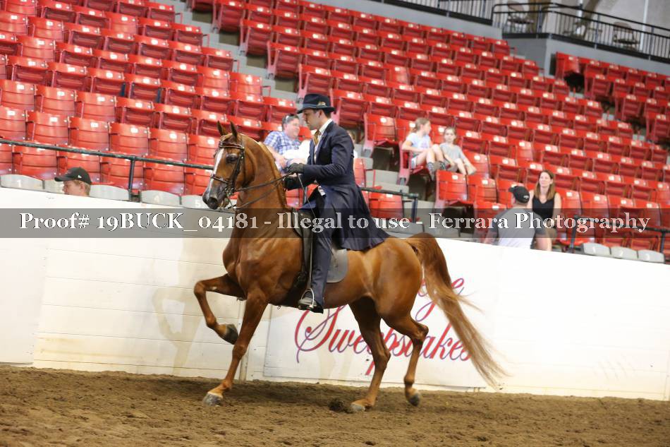 Proof 19BUCK_04181