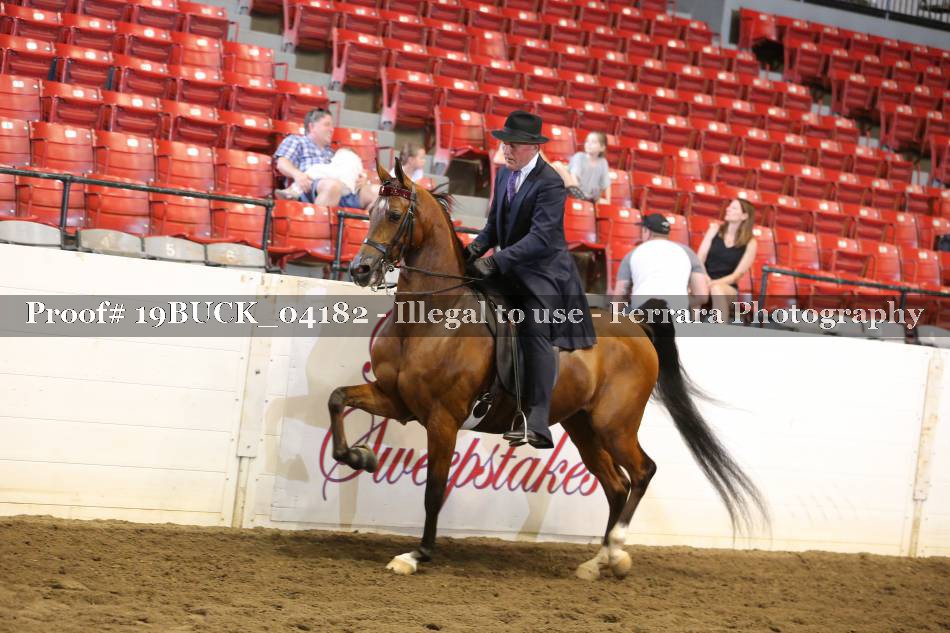 Proof 19BUCK_04182