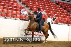19BUCK_04182 proof