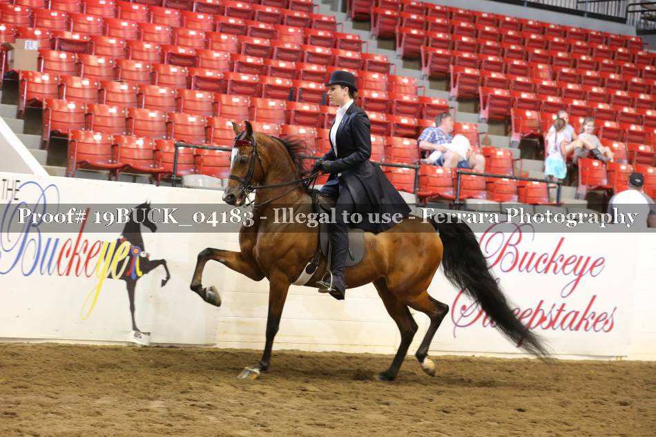 Proof 19BUCK_04183