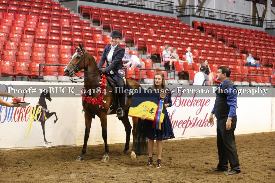 Proof 19BUCK_04184