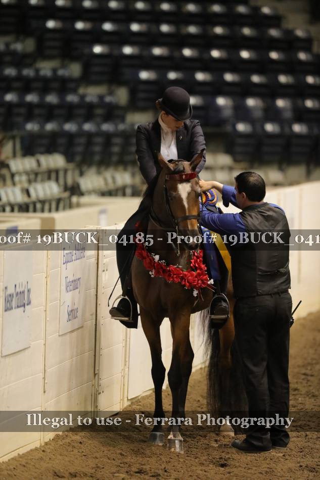 Proof 19BUCK_04185