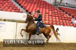 19BUCK_04186 proof