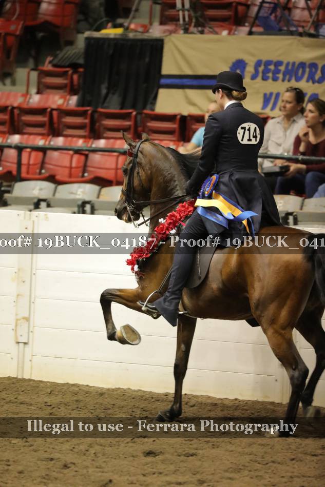 Proof 19BUCK_04187