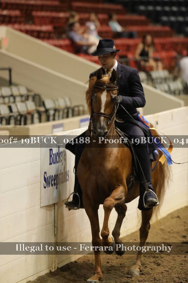 Proof 19BUCK_04188
