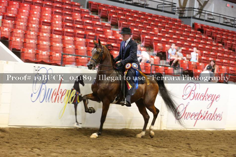 Proof 19BUCK_04189
