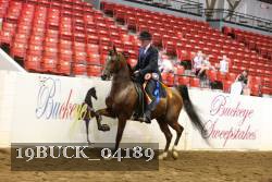 19BUCK_04189 proof