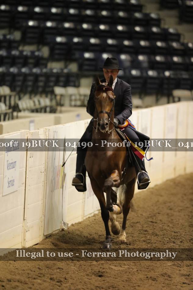 Proof 19BUCK_04190