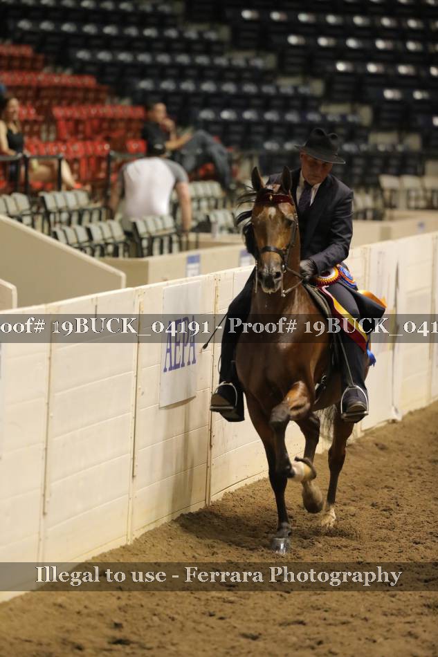 Proof 19BUCK_04191