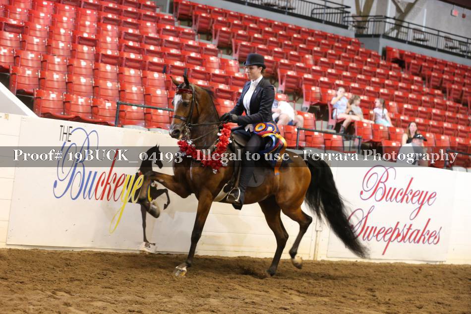 Proof 19BUCK_04193