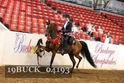 19BUCK_04193 proof