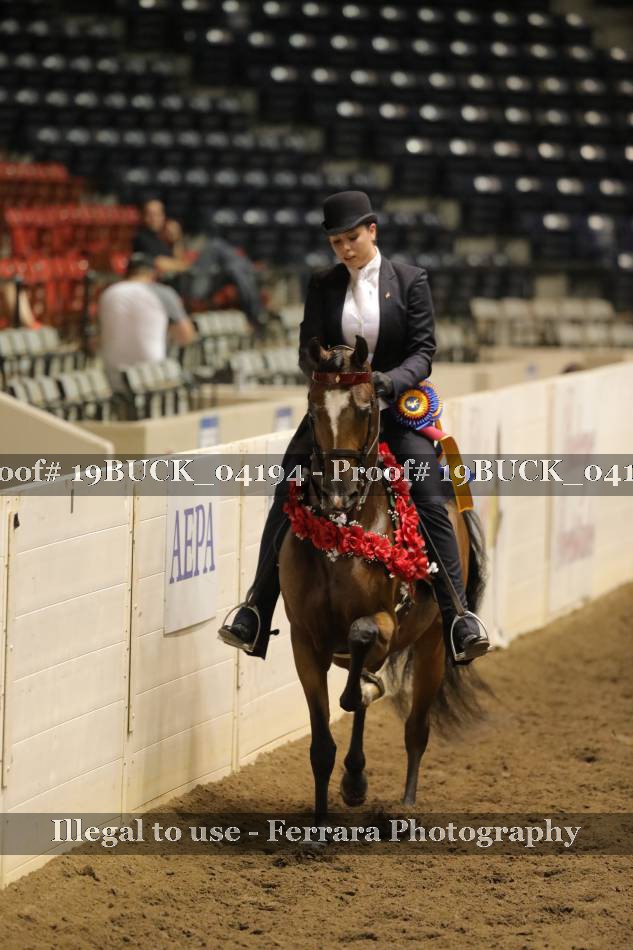 Proof 19BUCK_04194