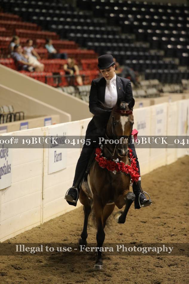 Proof 19BUCK_04195