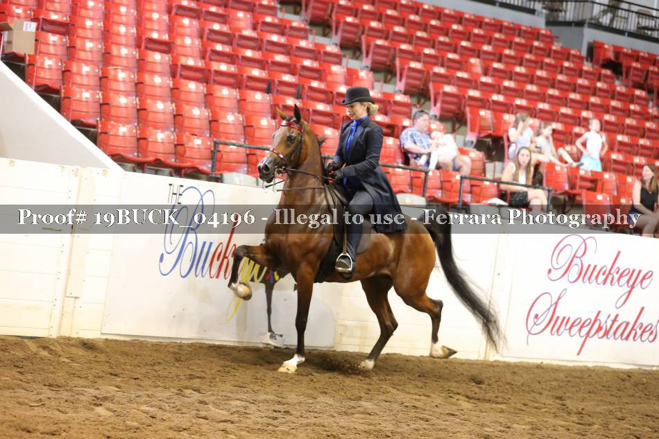 Proof 19BUCK_04196