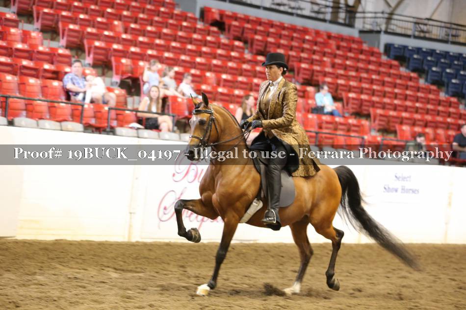 Proof 19BUCK_04197