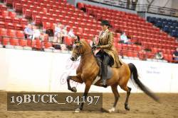 19BUCK_04197 proof