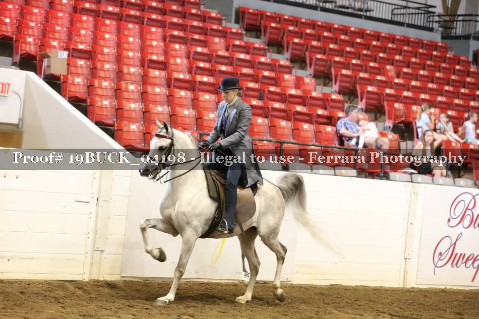 Proof 19BUCK_04198