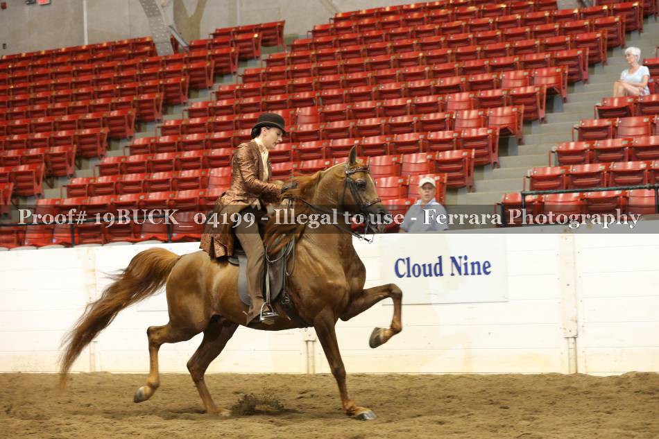 Proof 19BUCK_04199