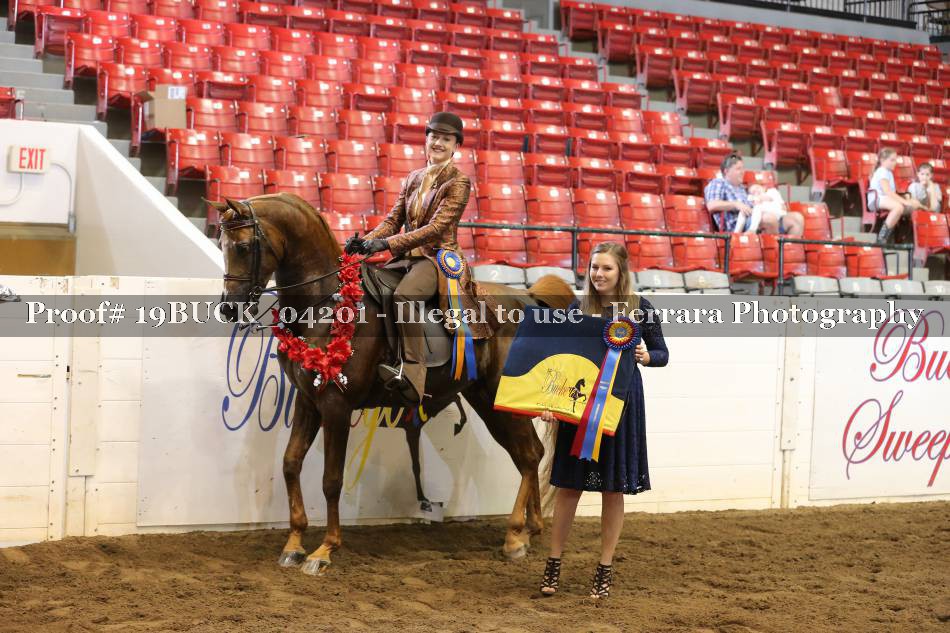 Proof 19BUCK_04201