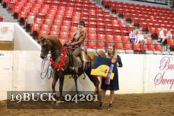 19BUCK_04201 proof