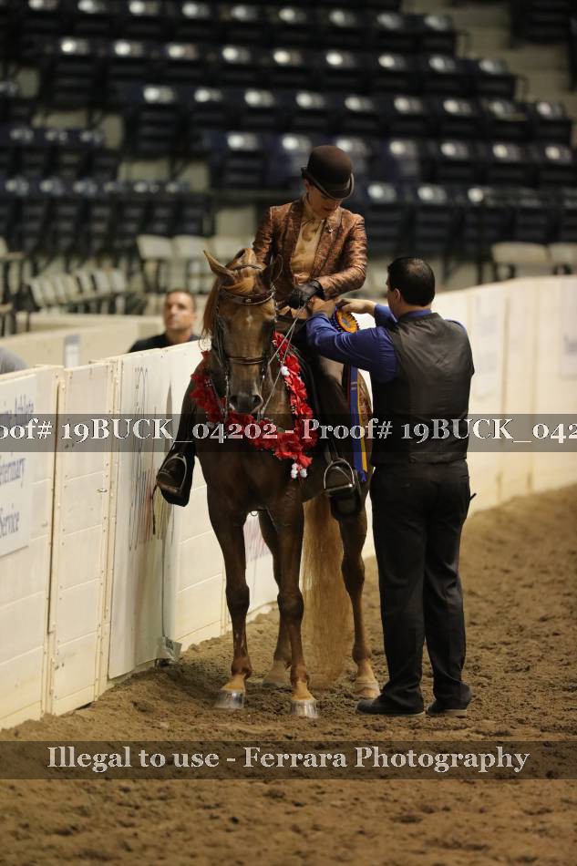 Proof 19BUCK_04202