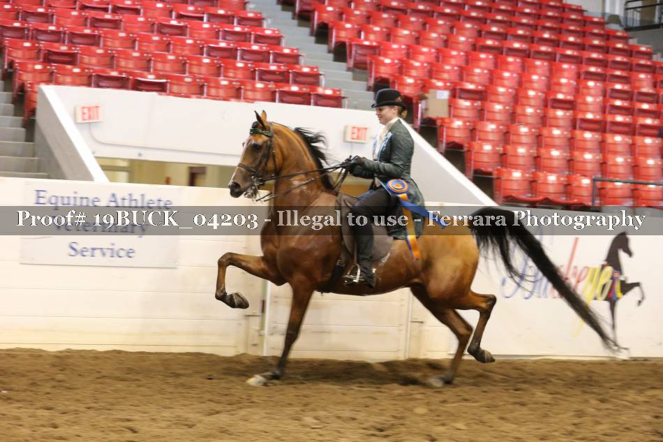 Proof 19BUCK_04203