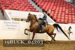 19BUCK_04203 proof