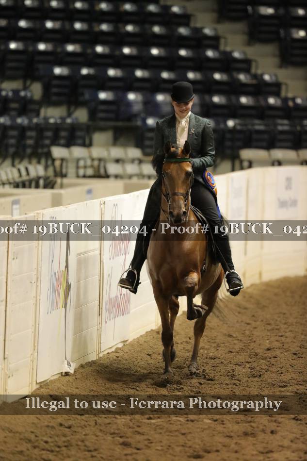 Proof 19BUCK_04204