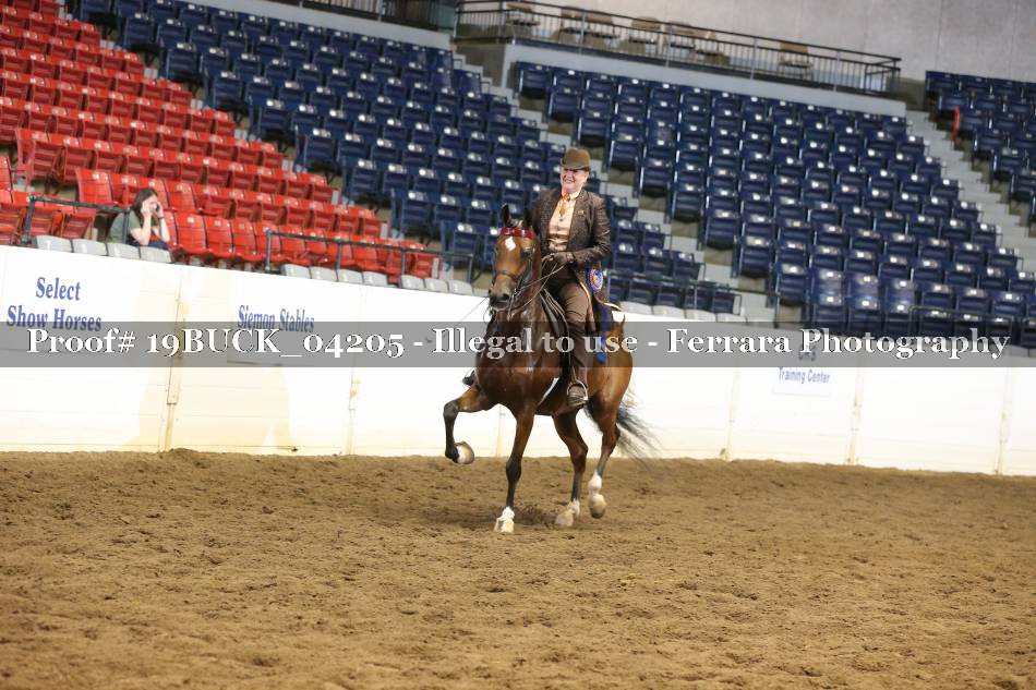 Proof 19BUCK_04205
