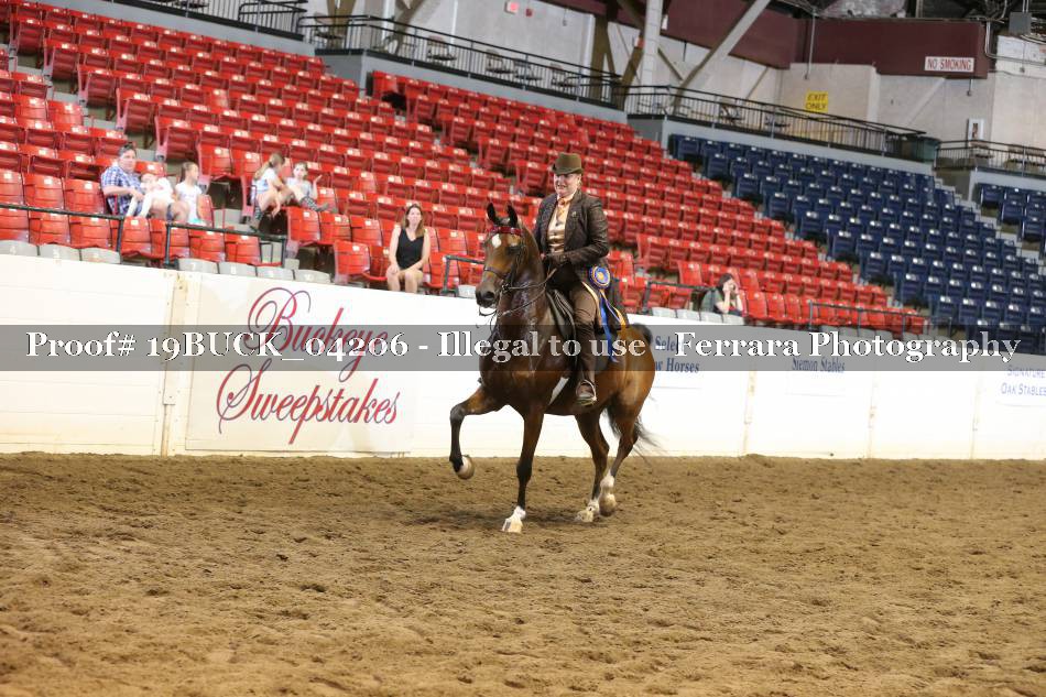 Proof 19BUCK_04206