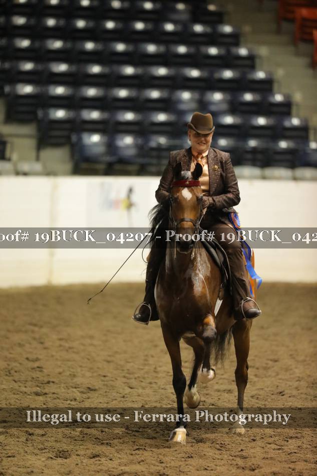 Proof 19BUCK_04207