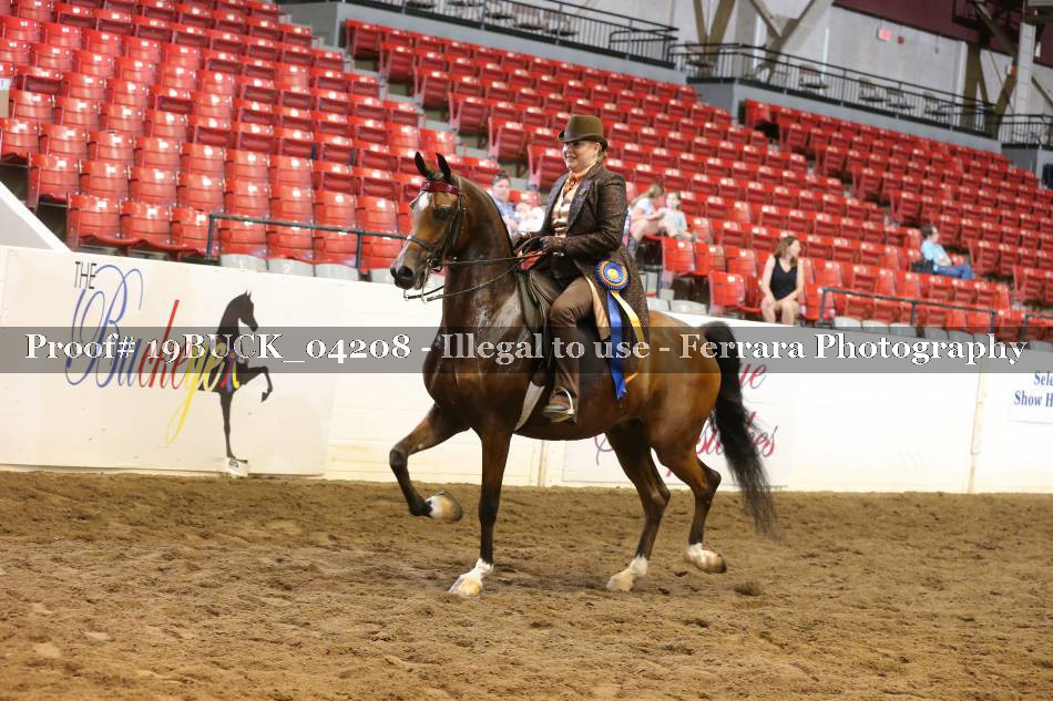 Proof 19BUCK_04208