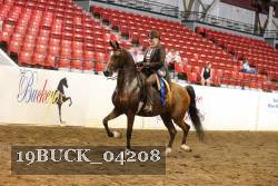 19BUCK_04208 proof