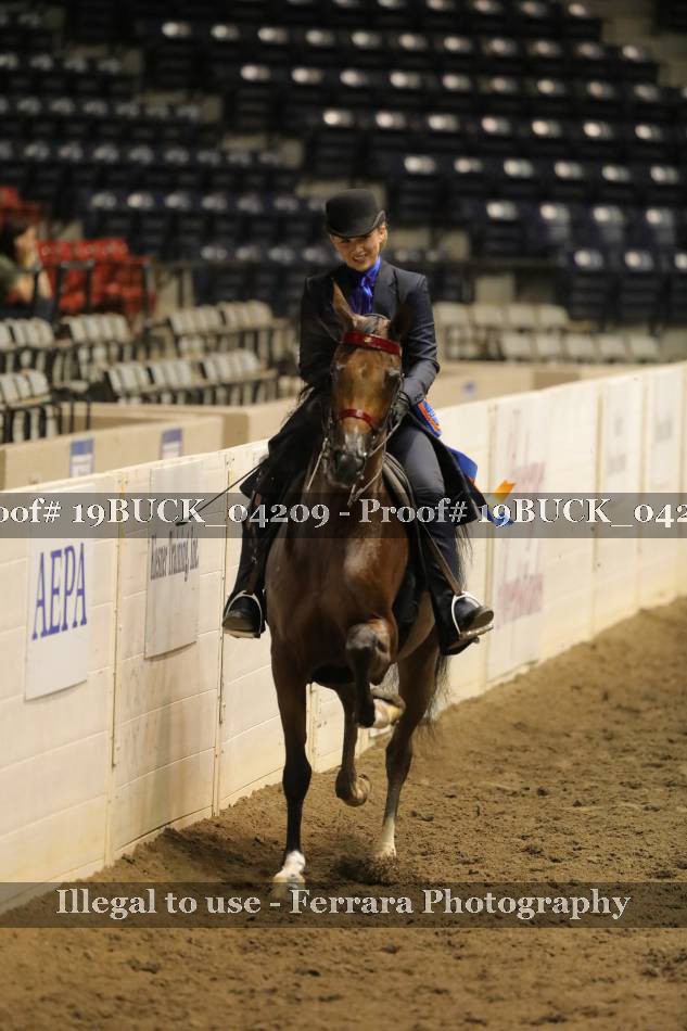 Proof 19BUCK_04209