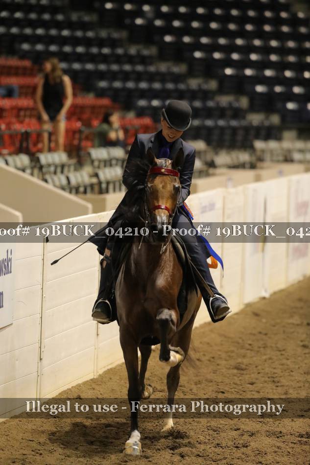 Proof 19BUCK_04210