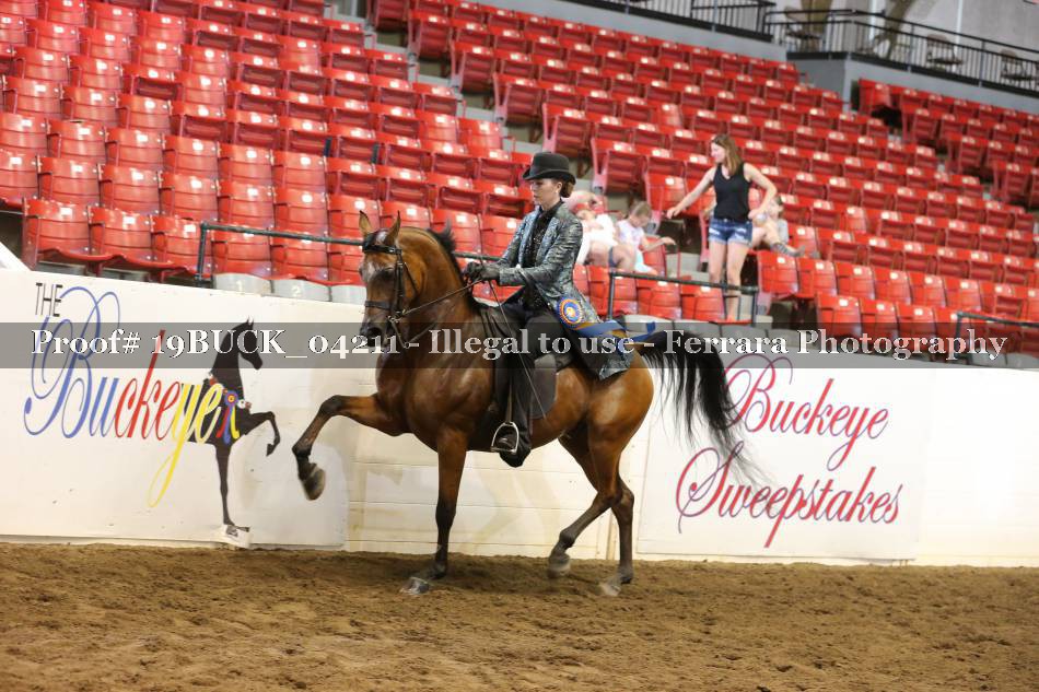 Proof 19BUCK_04211