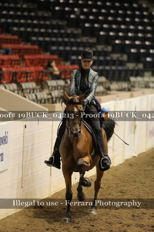 Proof 19BUCK_04213