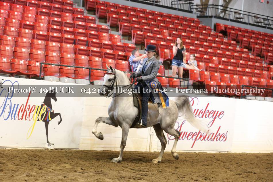 Proof 19BUCK_04214