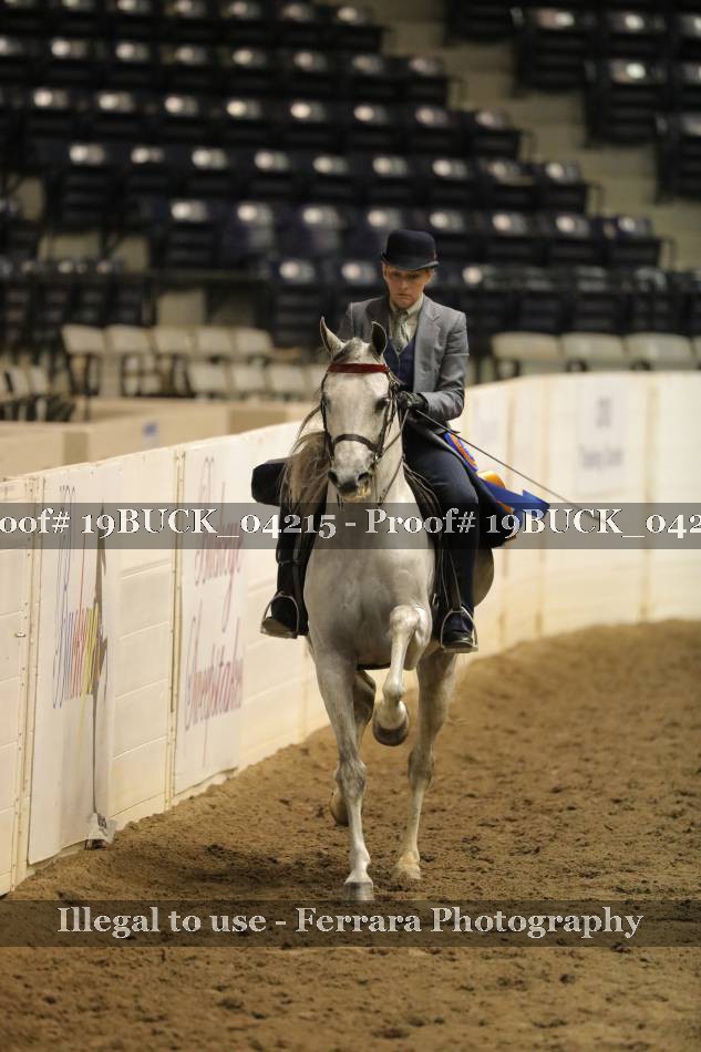 Proof 19BUCK_04215