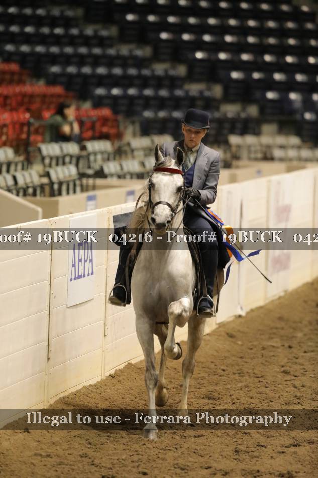 Proof 19BUCK_04216