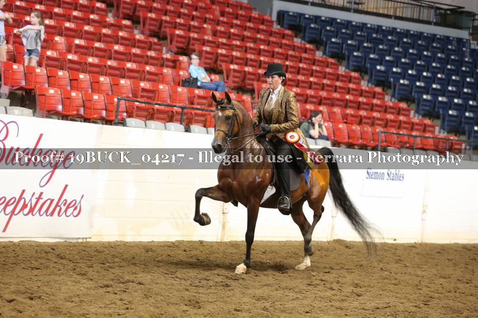 Proof 19BUCK_04217