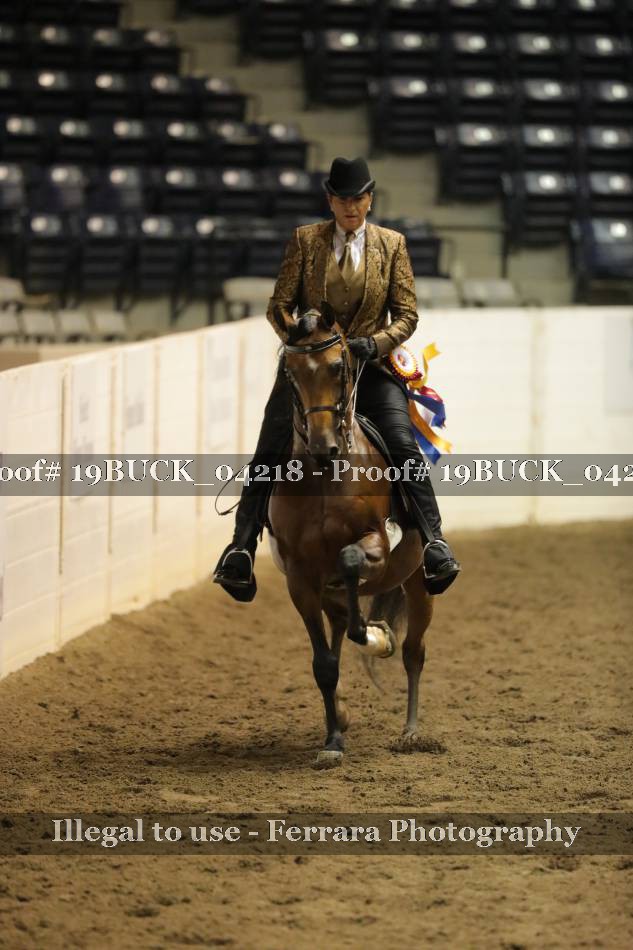 Proof 19BUCK_04218